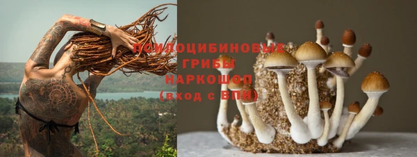 мяу мяу мука Бородино