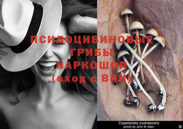 мяу мяу мука Бородино