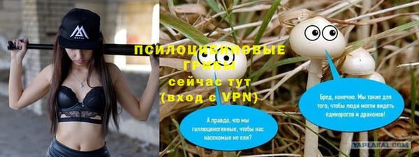 гидропоника Бугульма