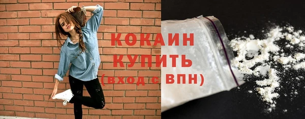 мяу мяу мука Бородино