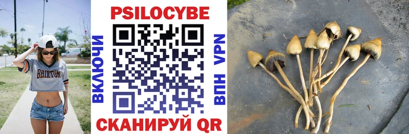 Псилоцибиновые грибы GOLDEN TEACHER  Купить где  Эртиль 